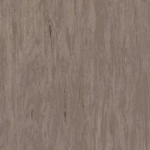 Линолеум Tarkett Standard Plus - Dark Beige 0482 (2m) 000110L фото