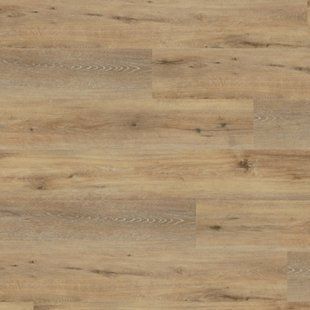Виниловая плитка Wineo DB 400 wood XL Joy Oak Tender DB400T фото