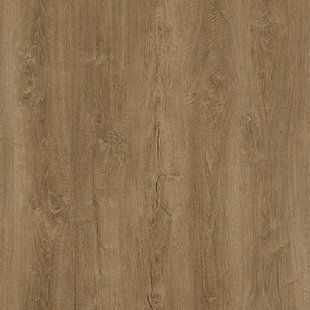 Виниловая плитка Oneflor Europe ECO 55 Planks, дерево 3949-80 фото