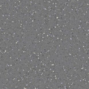 Линолеум Tarkett IQ Eminent - Dark Grey 0819 (2m) 000074L фото